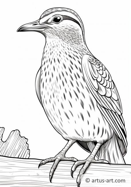 Awesome Woodcock Coloring Page For Kids